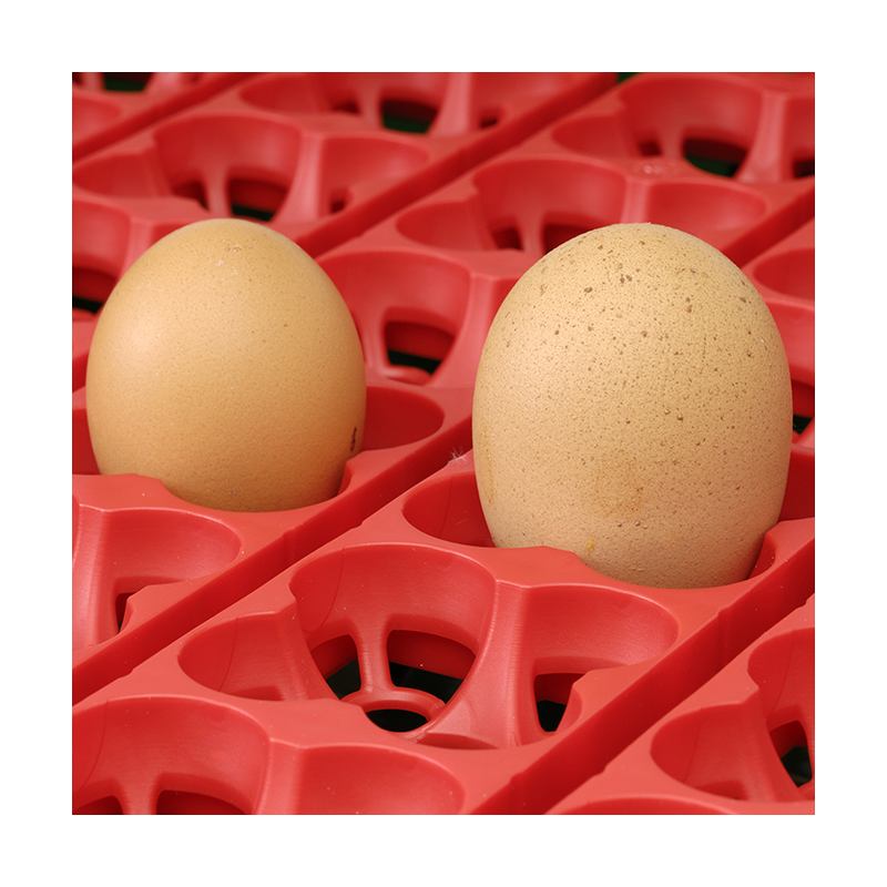 Líheň kuřat COVINA SUPER ET49 (EGG TECH), digitální poloautomatická, s dolíhní