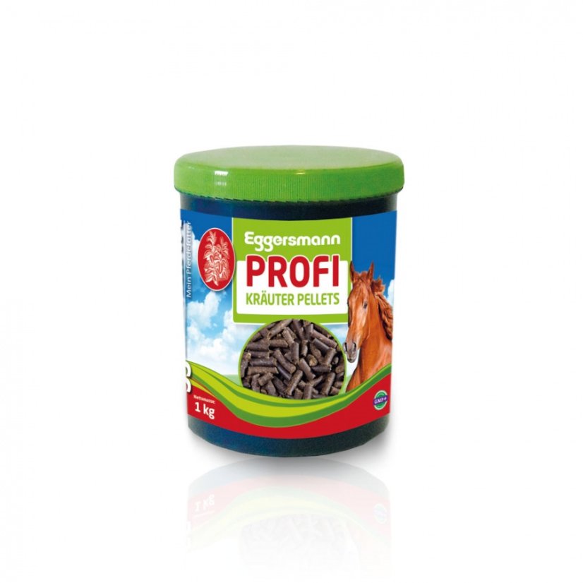 Profi Bronchial Pellets