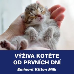Výživa kotěte od prvních dní
