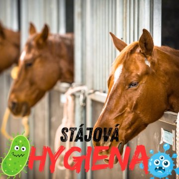 Stájová hygiena u koní a použití přípravku FAM 30