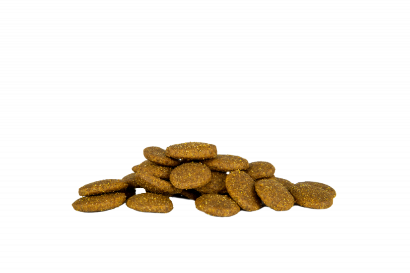 Eminent Adult Large Breed High Premium
