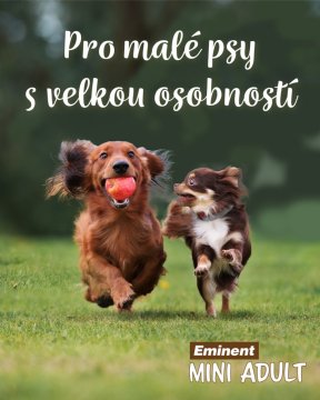 Superprémiová řada krmiv pro malá plemena psů