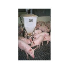 Domino STAR FEEDER K-FLEX samokrmítko pro prasata od 7 - 45 kg, se zvlhčováním