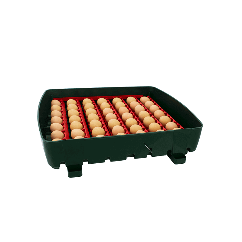 Líheň kuřat COVINA SUPER ET49 (EGG TECH), digitální poloautomatická, s dolíhní