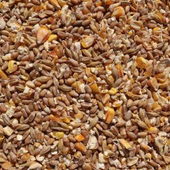 Körnerpick Körnerfutter Basic 5 kg