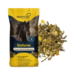 Marstall Sinfonie