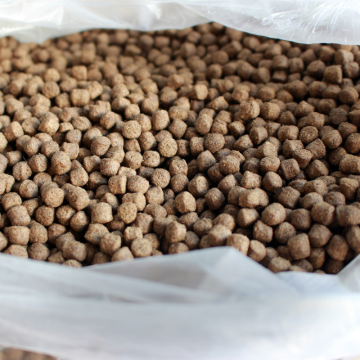 🐾 Jak poznat kvalitní psí granule? Praktický průvodce pro chovatele