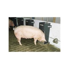 Domino S.0.1 samokrmítko pro prasnice, se zvlhčováním