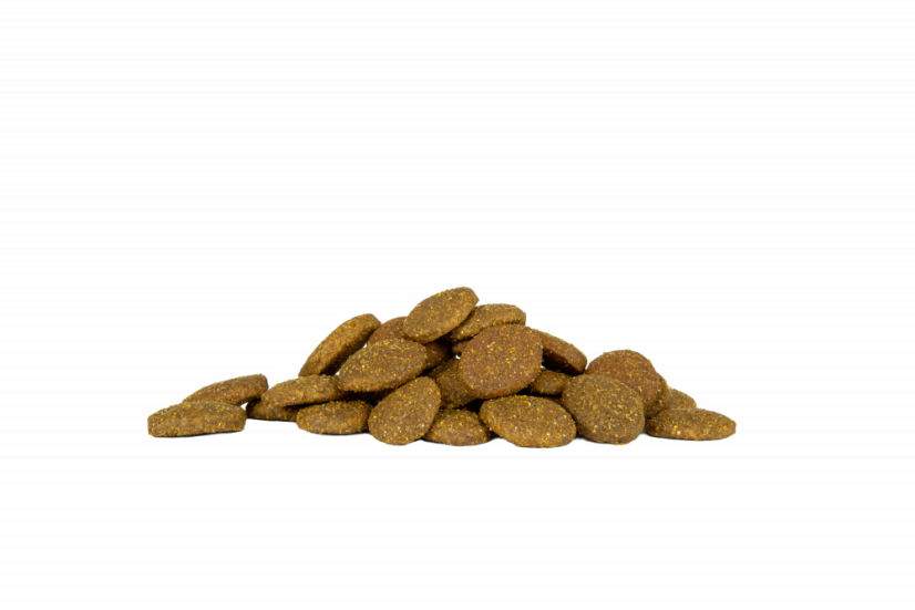 Eminent Maxi Junior High Premium 15 kg