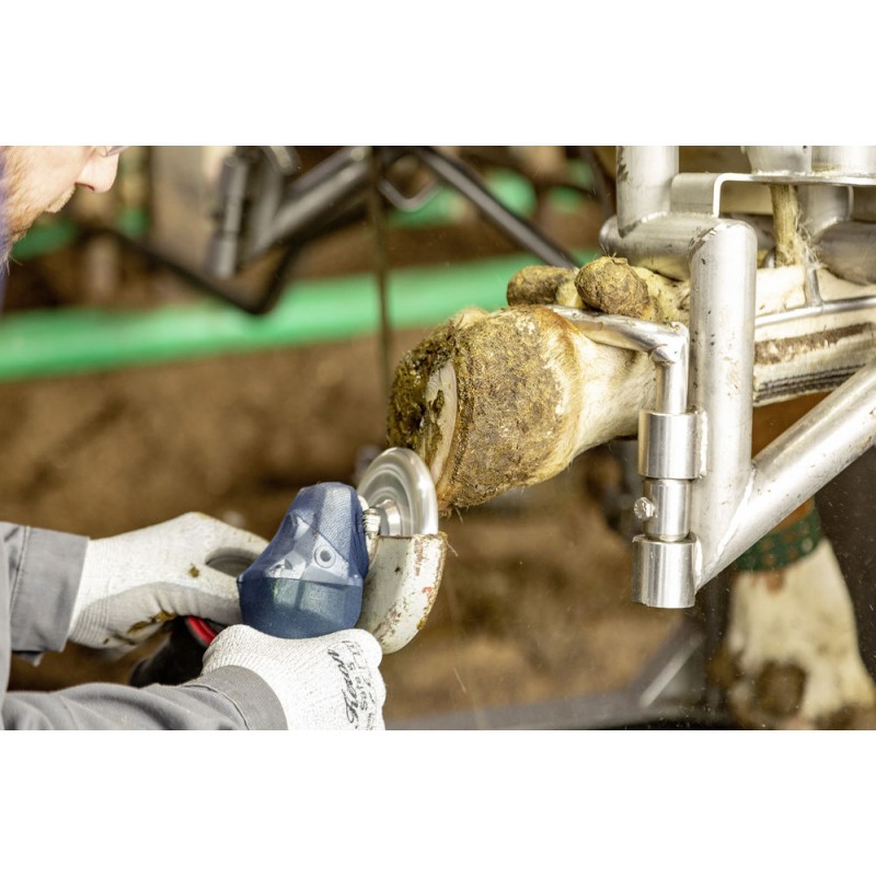 Kotouč brusný, segmentový Alu, 6 segmentů, 120 mm