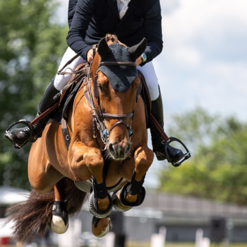 Výživa sportovních koní – klíč k výkonu i regeneraci 🐴💪