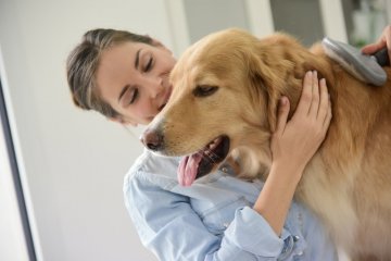 Péče o psy a hygiena