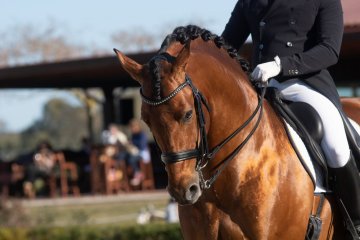 střední zátěž, sport