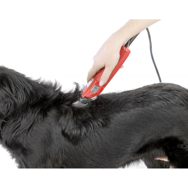 Aesculap strojek stříhací Favorita Speed GT114, na psy a malá zvířata