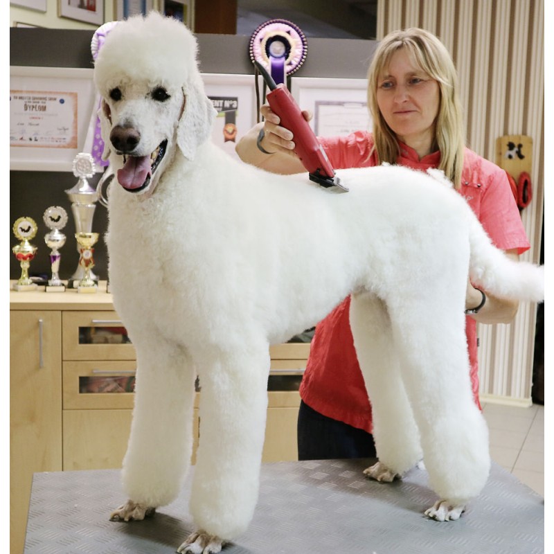 Aesculap strojek stříhací Favorita Speed GT114, na psy a malá zvířata