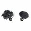 Biochar 100 g