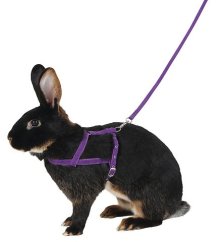 Postroj AGILITY pro králíka s vodítkem vel. M