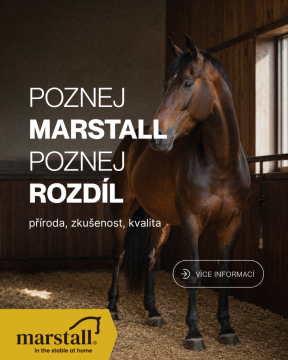 MARSTALL