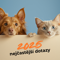 Nejčastější dotazy našich zákazníků v roce 2025
