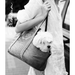 CAZO Taška cestovní pro psy Premium, šedá, 30 x 40 x 24 cm