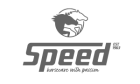 Speed