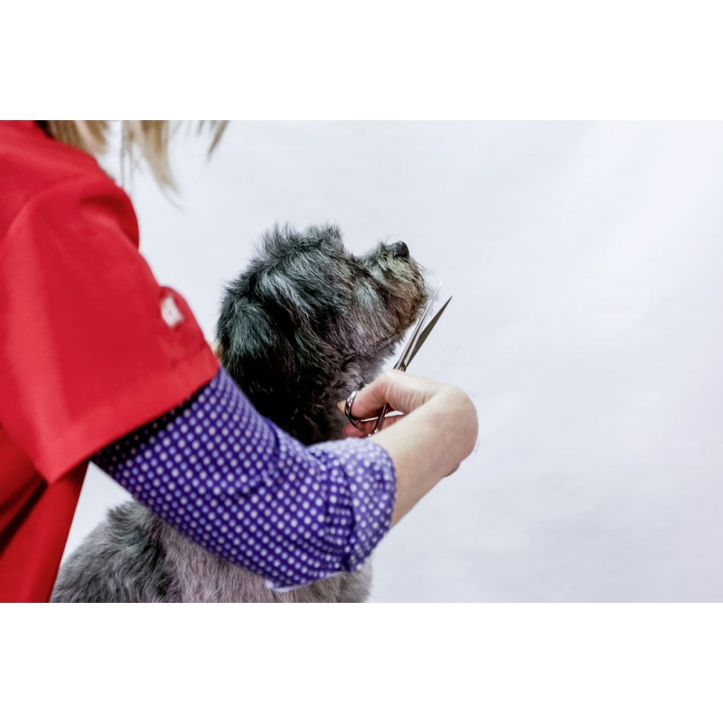 Aesculap sada profesionálních nůžek na stříhání psů, 3 dílná