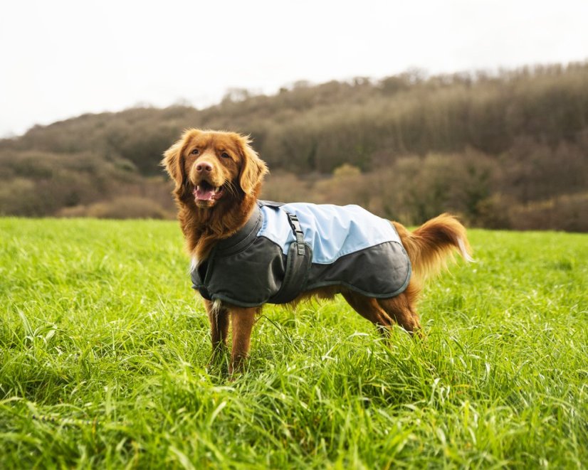 Nepromokavý obleček pro psy S (41509)