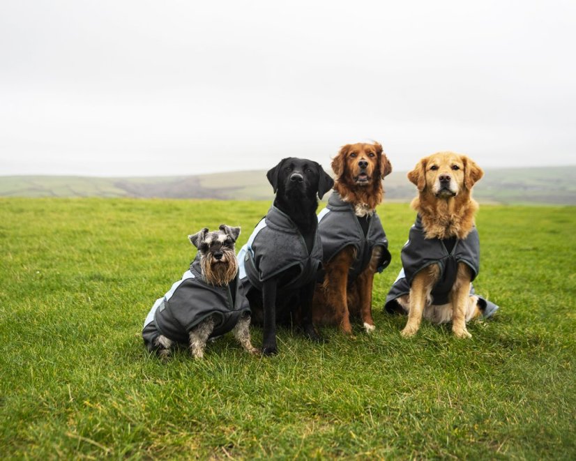 Nepromokavý obleček pro psy M (41516)