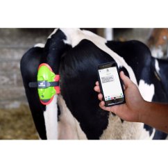 MooCall Senzor otelení skotu, elektronický