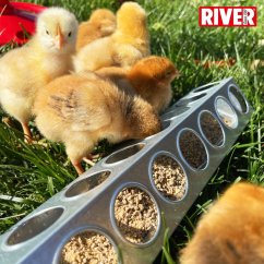 Žlabové krmítko pro křepelky a kuřata, kulaté otvory, 7,5x30 cm