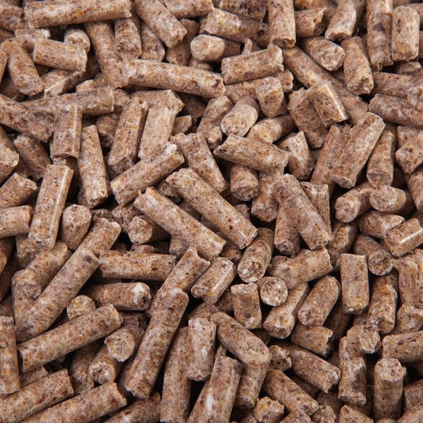 Zucht Pellets - Big bag