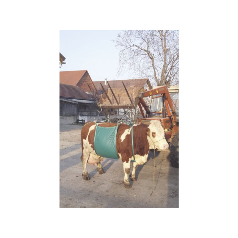 Zvedač krav Daisy Lifter