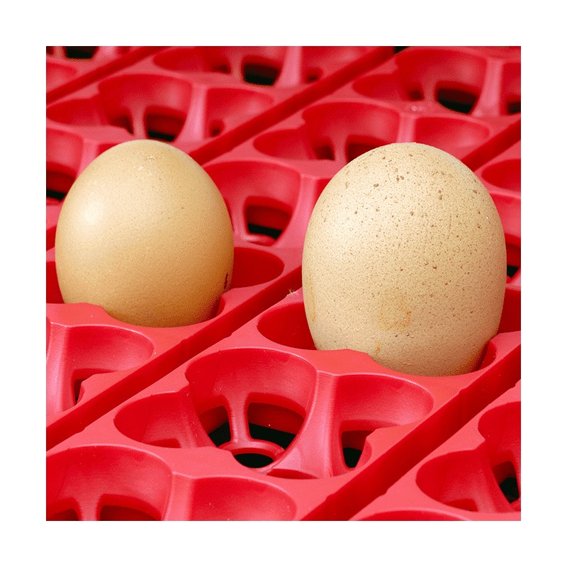 Líheň kuřat COVINA SUPER ET12 (EGG TECH), digitální automatická, s dolíhní