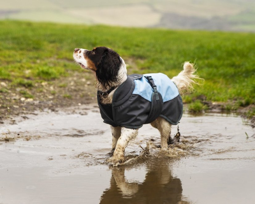 Nepromokavý obleček pro psy M (41516)