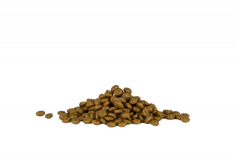 Eminent Puppy Lamb and Rice High Premium