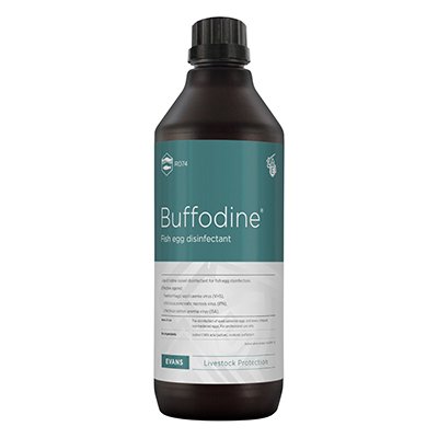 BUFFODINE 1000 ml
