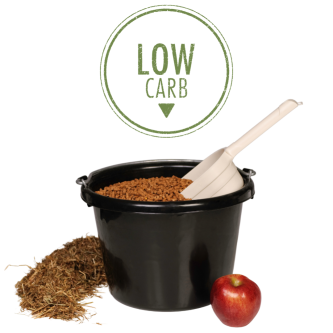 Krmiva s nízkým obsahem škrobu: kdy a proč je volit pro svého koně