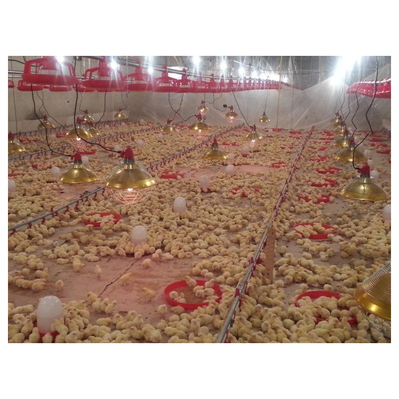 Interheat karbonová lampa pro drůbež CPBT300, prům. 40 cm