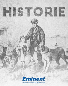 Historie výroby krmiv pro psy a kočky