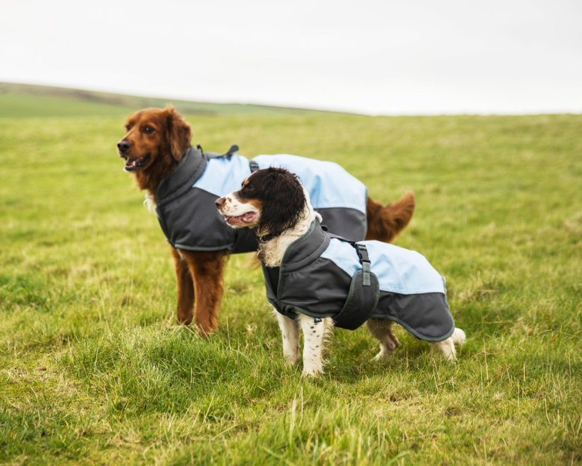 Nepromokavý obleček pro psy XL (41530)