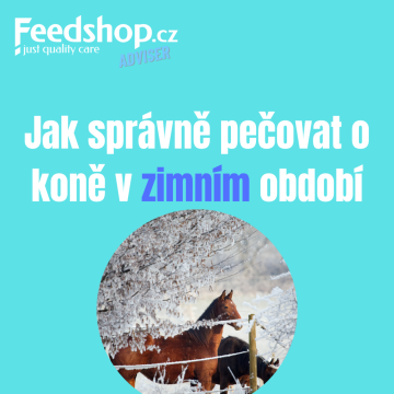 🐴 Jak pečovat o koně v zimním období