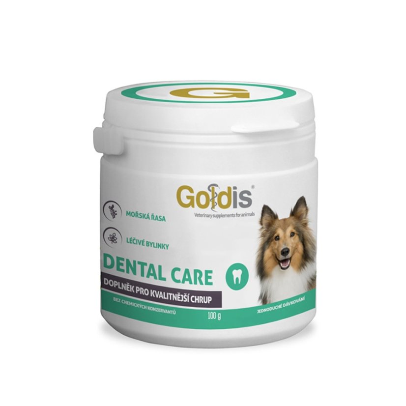 Dental Care