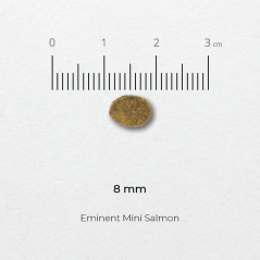 Eminent Mini SALMON