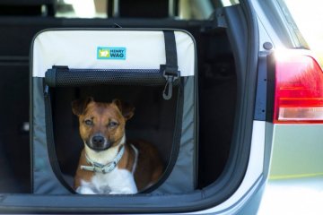 ochranné potahy a sedačky - Henry WAG