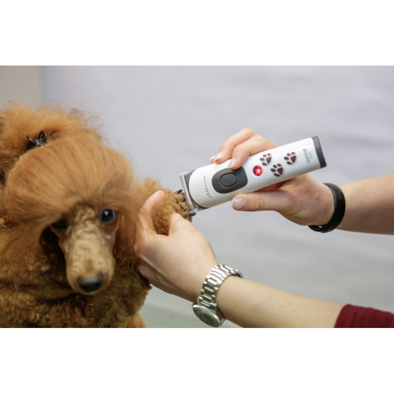 Aesculap strojek stříhací na psy Akkurata GT405 Aku, vč. stříhací hlavy 0,5/1,5/2,5 mm