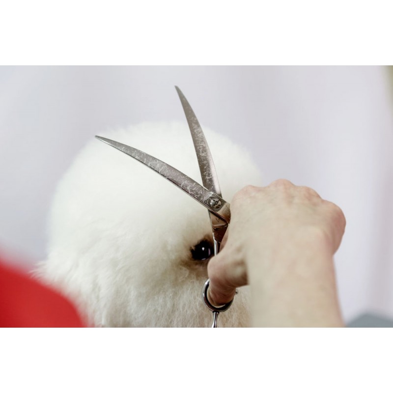 Aesculap sada profesionálních nůžek na stříhání psů, 3 dílná