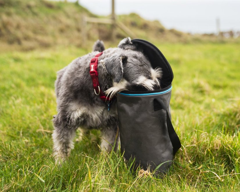 Cestovní dóza na granule (41561)