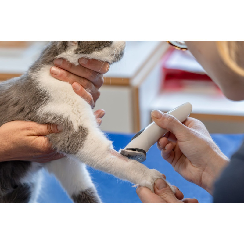 Aesculap strojek stříhací na psy Isis GT421 Aku, vč. stříhací hlavy 0.5 mm