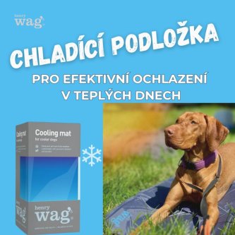 Chladící podložka pro psy HW