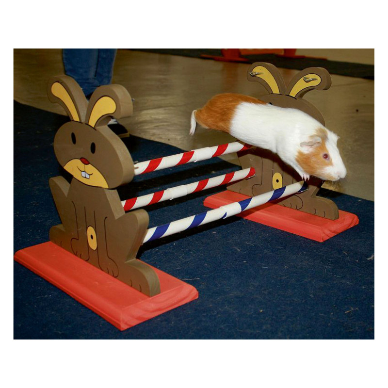 Agility dvojitá variabilní překážka pro králíky a jiné hlodavce - králičí hop